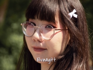 Elvinagitt