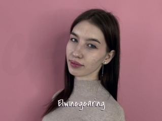 Elwinegearing