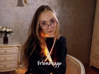 Erlenefigge