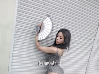 Evamadriid