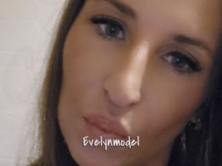 Evelynmodel