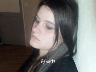 Exhib93