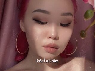 FactorCam