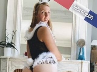 Feline18