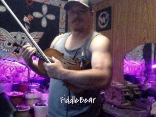 FiddleBear