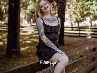 Flamygir