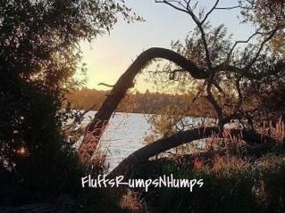 FluffsRumpsNHumps