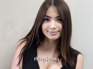 FluffyQbunny