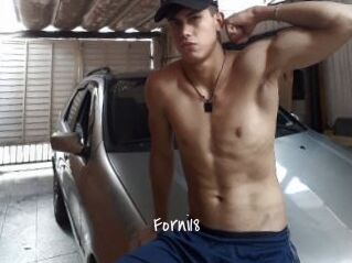 Forni18