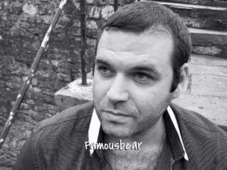 Famousbear
