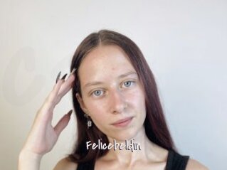 Felicebeldin