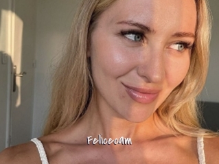 Felicecam
