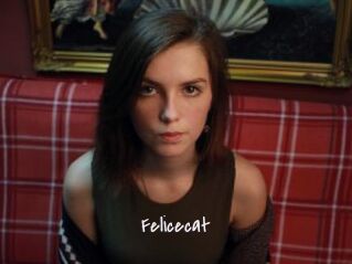 Felicecat