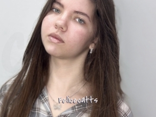 Felicecatts
