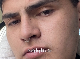 Felipleplazas