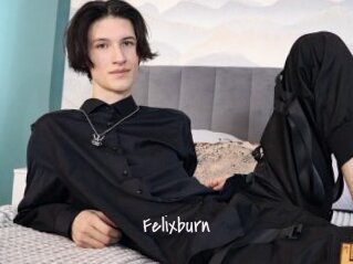 Felixburn