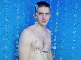 Felixgunn