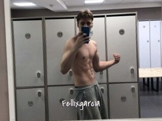 Fellixgarcia