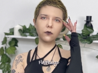 Flairfudge