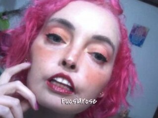 Fucsiarose