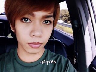 Gaysian