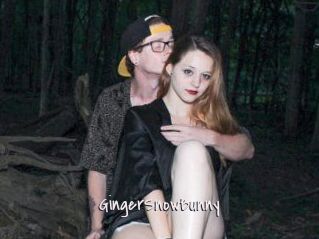 GingerSnowBunny