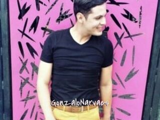 GonzaloNarvaes