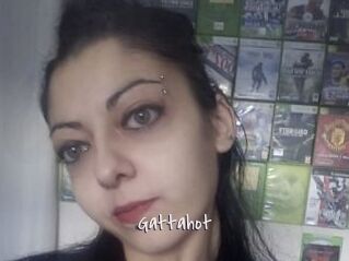 Gattahot