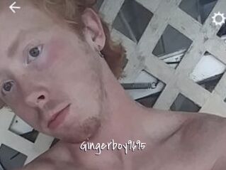 Gingerboy9695