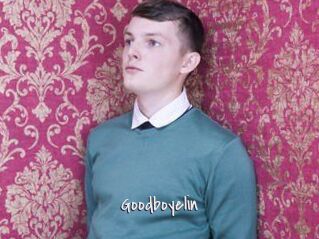 Goodboyelin