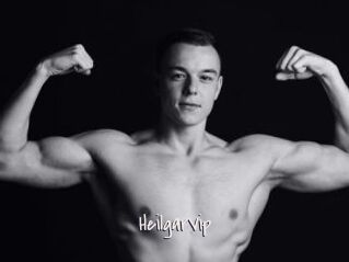 HeilgarVip