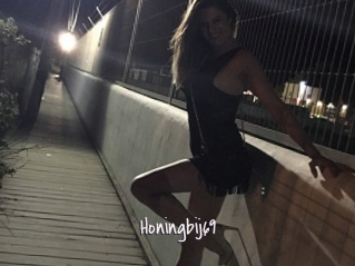 Honingbij69