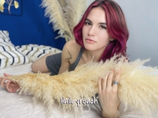 Haileyroach