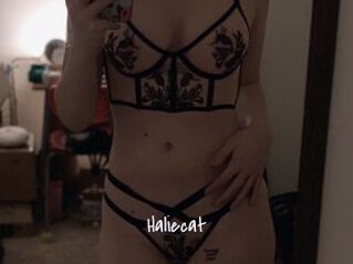 Haliecat