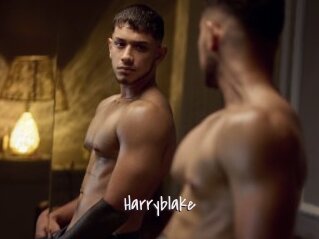 Harryblake