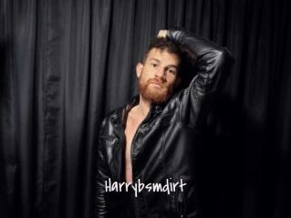 Harrybsmdirt