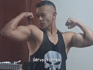 Harveytorres
