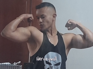 Harveywull