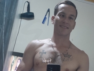 Hect