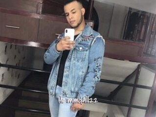 Heimmdall22