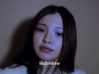 Hildbisbee