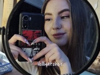 Hollisatcher