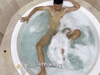Hornywildboy