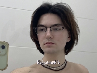 Hoscasmith
