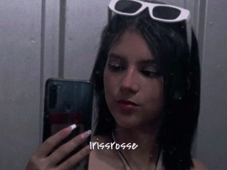 Irissrosse