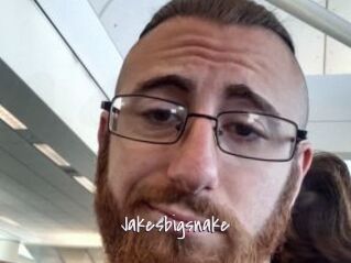 Jakesbigsnake