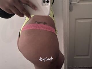 JoySwt