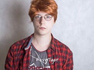 KevinTiger