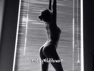 KittyWildflower