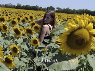 Kitti2023